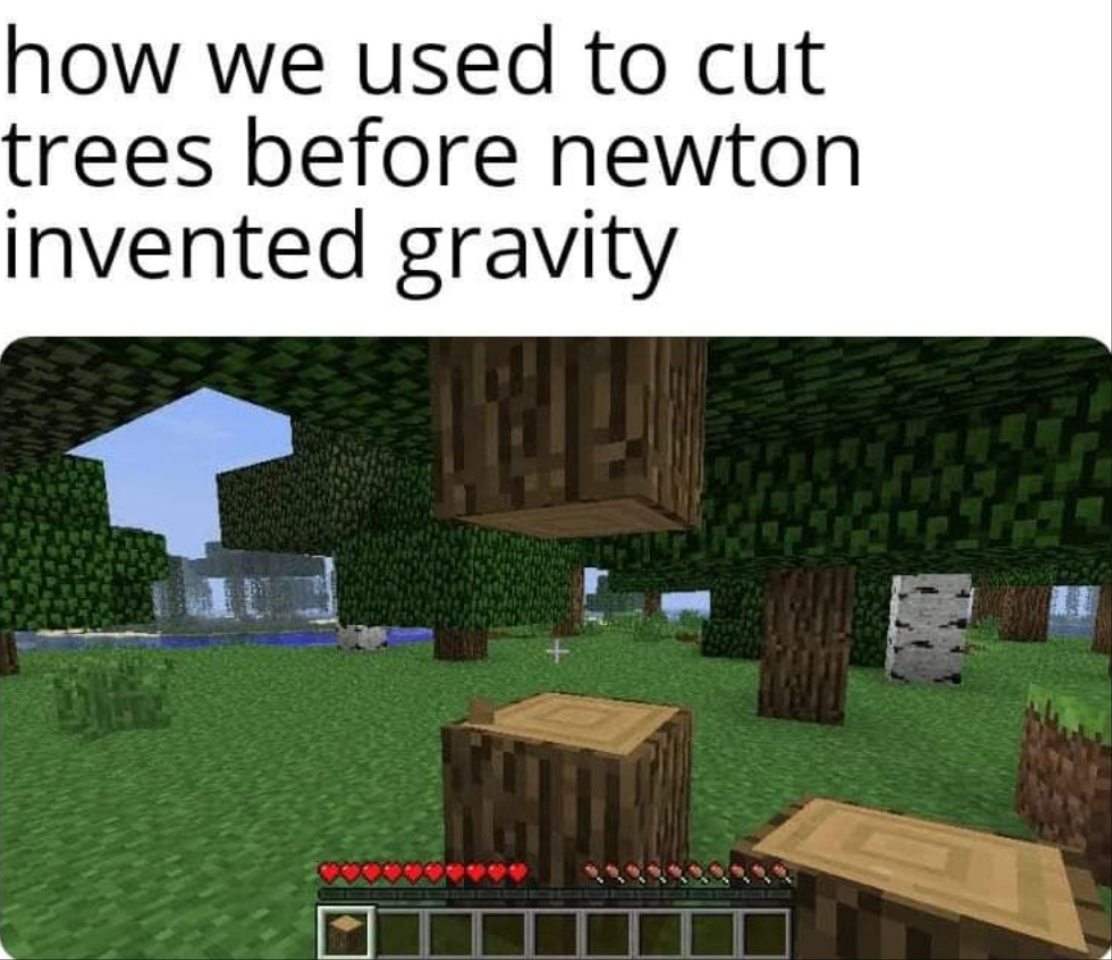 Stell euch nur vor, niemand hätte die Schwerkraft erfunden!

#Minecraft #1MemeADay #MCSEU 

~Hadde