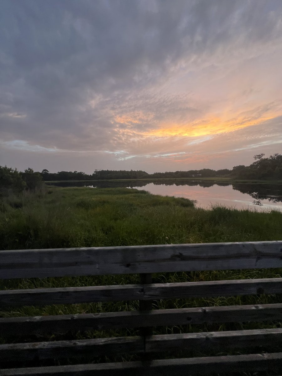 Sharath Abraham tweet media