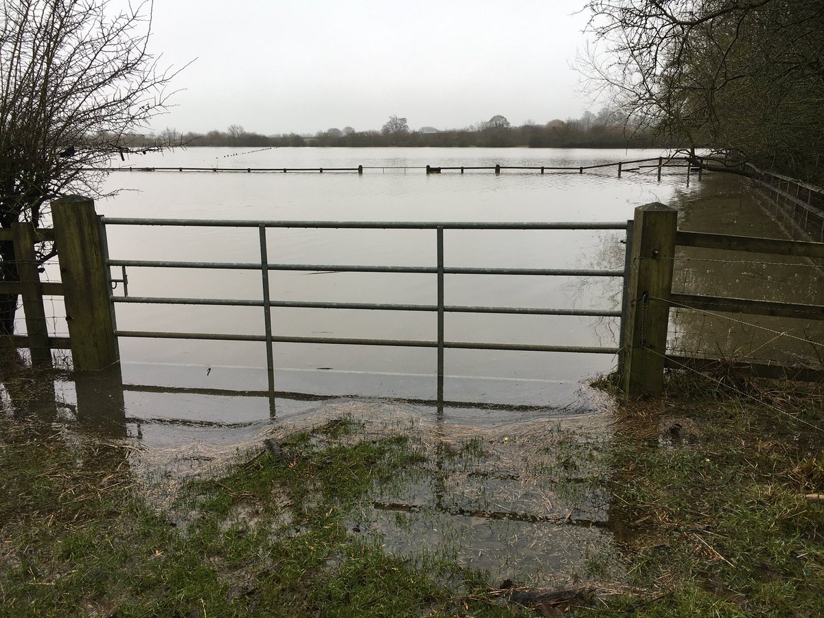 thedoodales's tweet photo. @Rosewood_Farm We have a seasonal moat!! https://t.co/WL7qhWqUJf