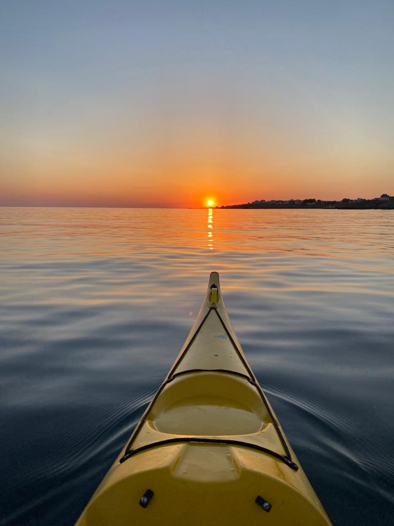 Geoffroy Roux de Bezieux tweet media