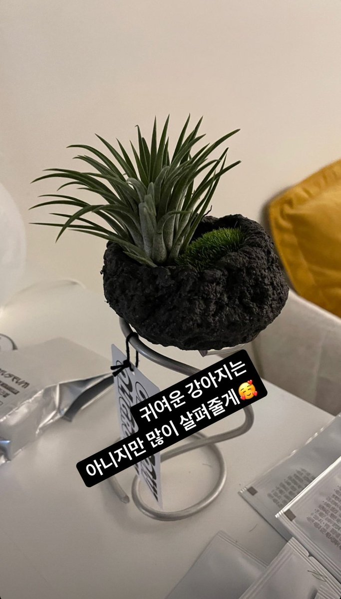 aceturkey7's tweet photo. [🇹🇷/220812] #ACE_IG

[#WOW]

"Tatlı bir köpek değil ama seninle çok ilgileneceğim 🥰" https://t.co/wZ3MgNeS27