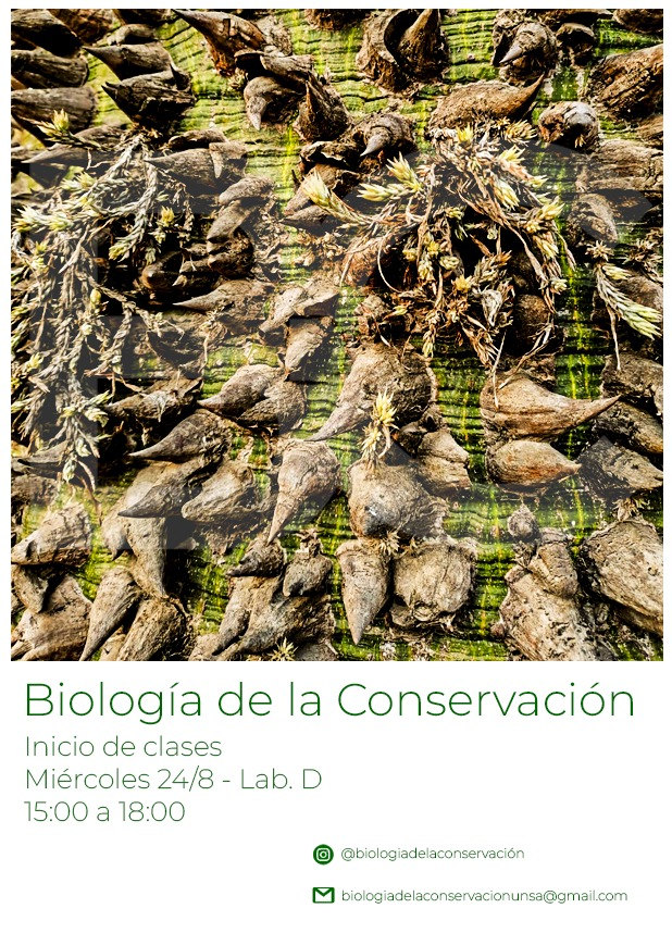 BiologiaC's tweet photo. Iniciamos las actividades 2022 https://t.co/gw5yJLvwTZ