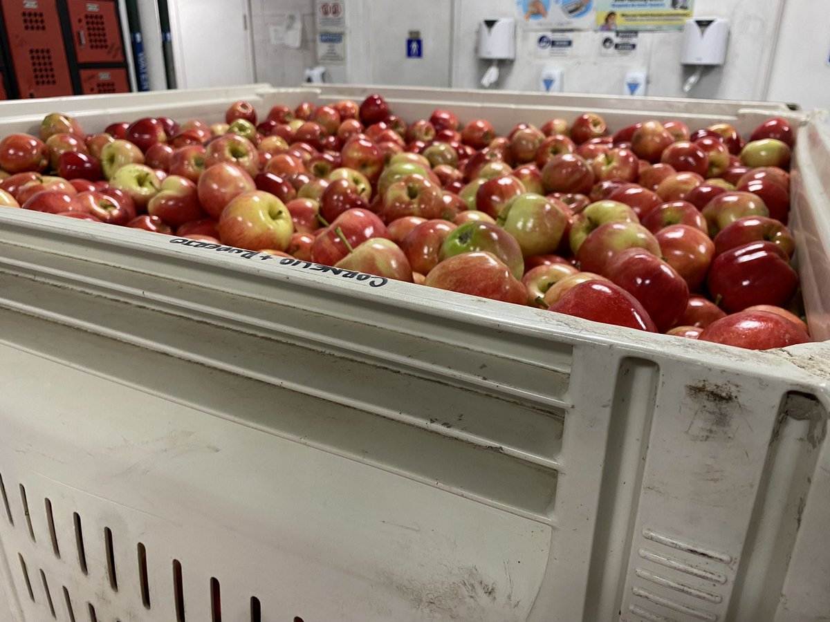 Eric Patrick tweet media