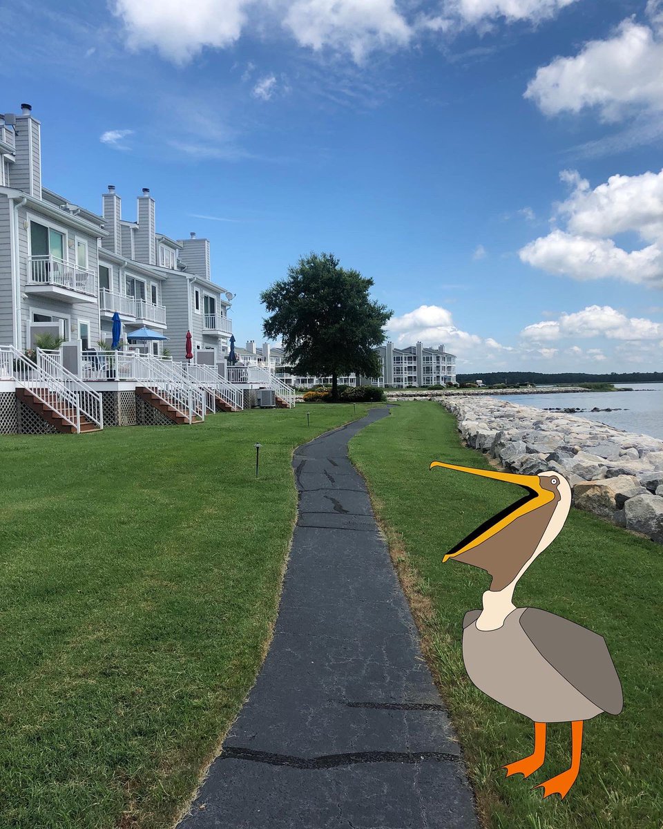 PelicanMgt's tweet photo. Earlier this week I flew over to the Eastern Shore to visit our friends at beautiful Oyster Cove #coastalliving #community #communitymanagement #condo #condoliving #condolife #hoa #chesapeakebay #JJ #beautifulcommunity https://t.co/siX1RQwn0z