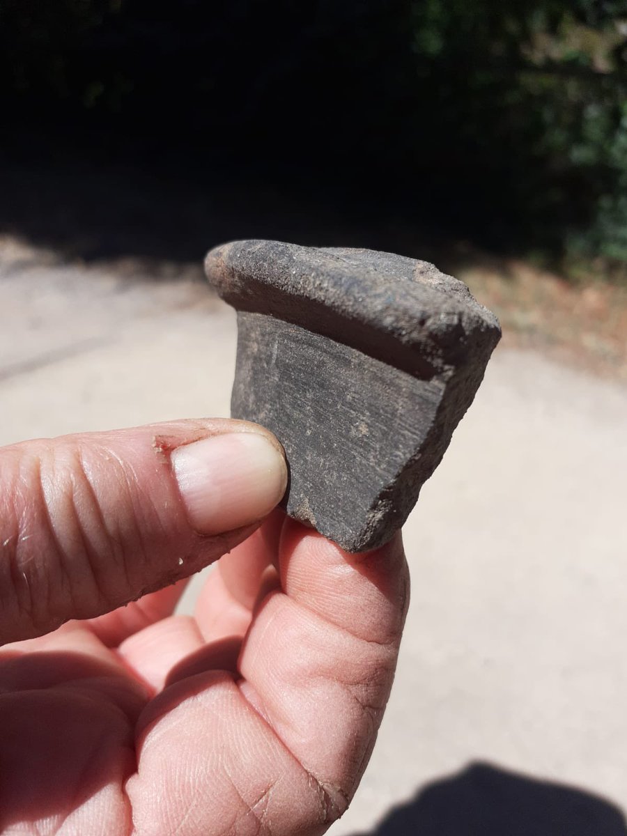 Had to threaten to banish one of our diggers for finding this. Mesolithic fine, medieval acceptable but Roman - no!