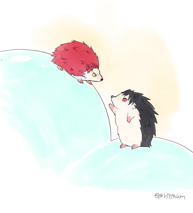 ハリネズミのtwitterイラスト検索結果