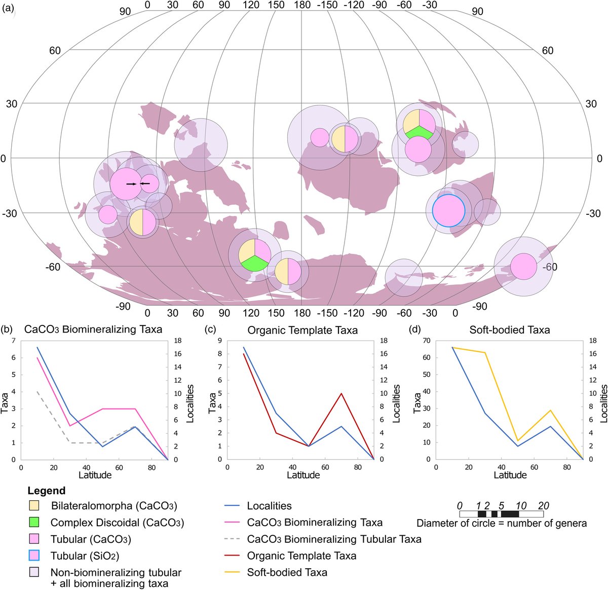Explore how the Ediacaran macrobiota were distributed across the globe in a new paper by <a href="/ediacatherine/">Cat Boddy</a> <a href="/EGMitchell/">Emily G Mitchell</a> @AndrewMerdith and @the_palaeoninja 
Read more in the Lyell Collection lyellcollection.org/doi/full/10.11…

#Geoscience #FossilFriday