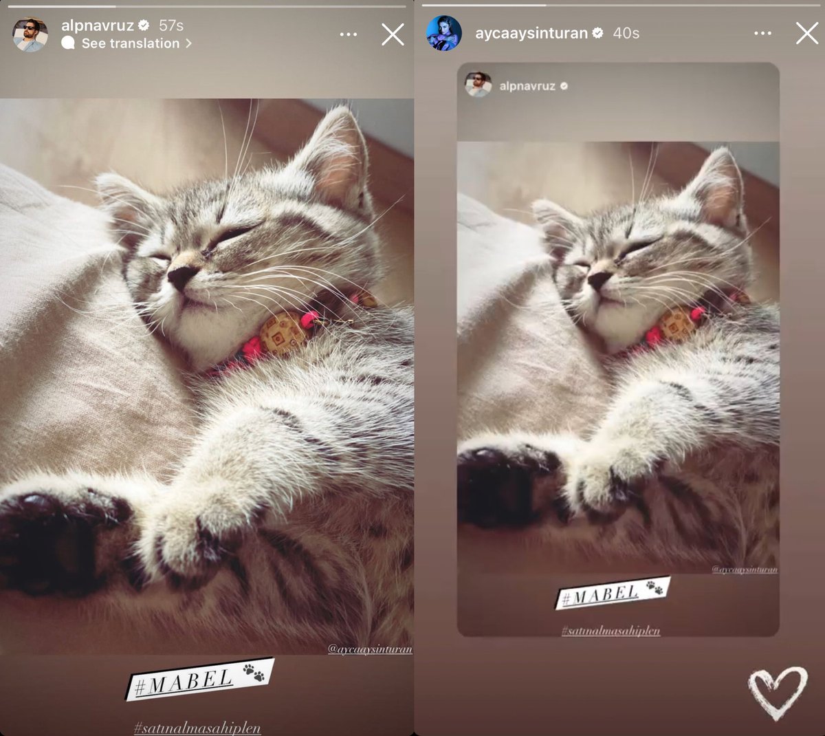 Mrs. #Mabel She has the best mom and dad in the world 🥹🥹

#AyçaAyşinTuran . #ALPNAVRUZ