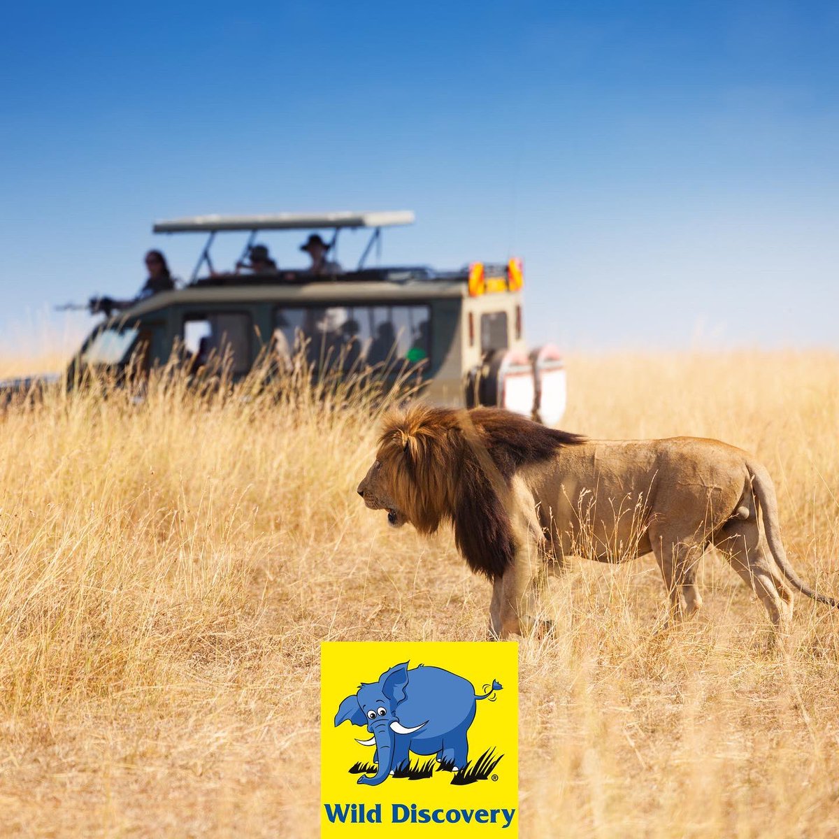 Discover Tanzania's breathtaking beauty by exploring its luxurious nature and wild life.

For a lifetime experience with Wild Discovery, call 01 56 56 46 and one of our Destination Specialists will be happy to assist you.