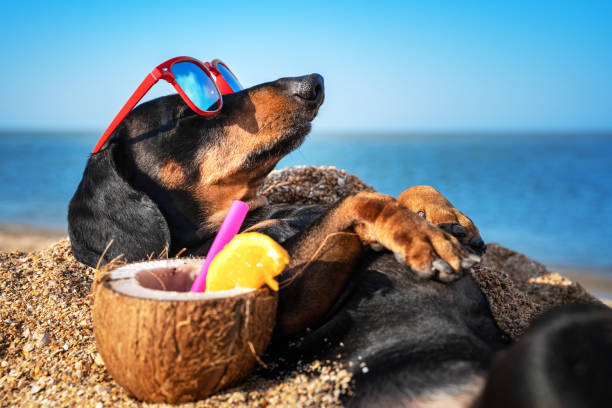 wejam_int's tweet photo. Happy weekend! Lasst euch ordentlich die Sonne auf den Bauch scheinen und gönnt euch einen leckeren Cocktail. https://t.co/JxO89eCAiB