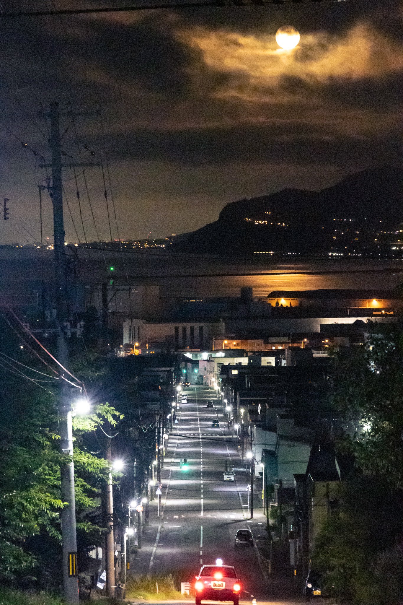 Rikamagara Lilbirdsong Twitter