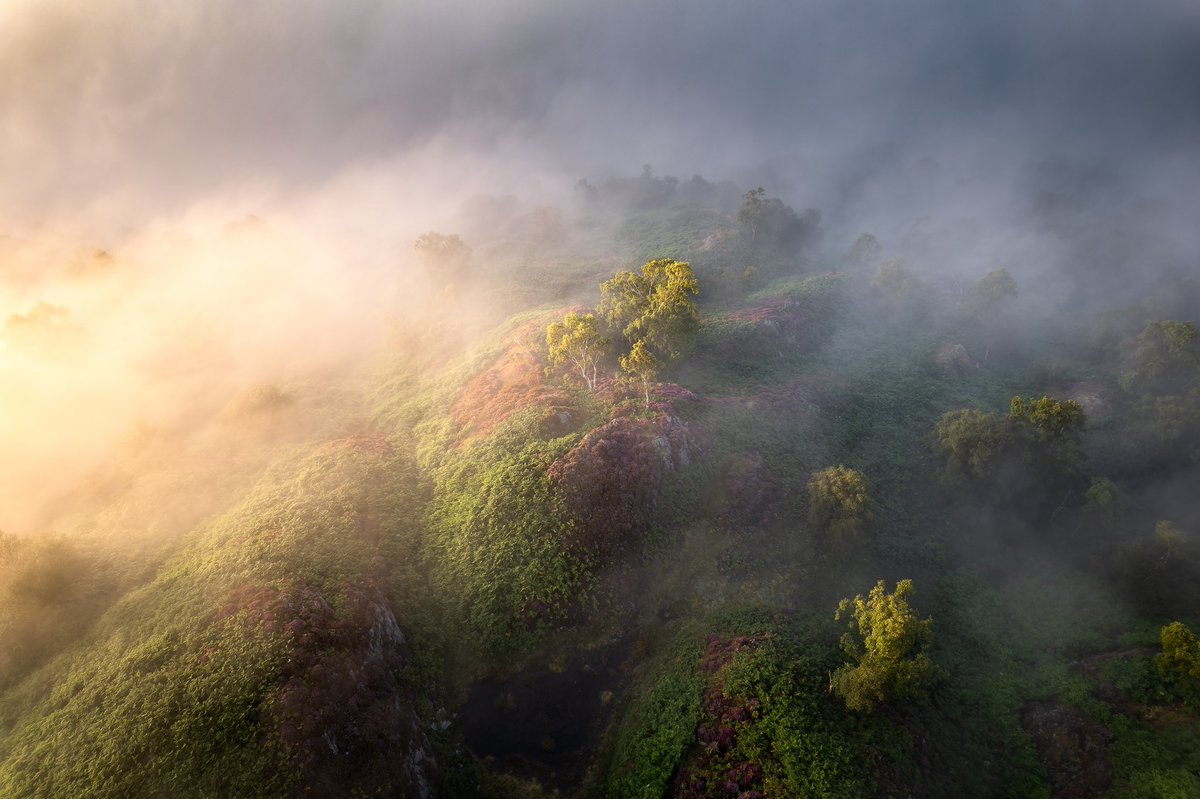 Stuart McGlennon tweet media