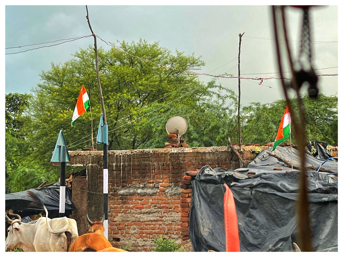 ShefVaidya's tweet photo. #HarGharTiranga  in MP countryside! https://t.co/fcfyAKV9mB