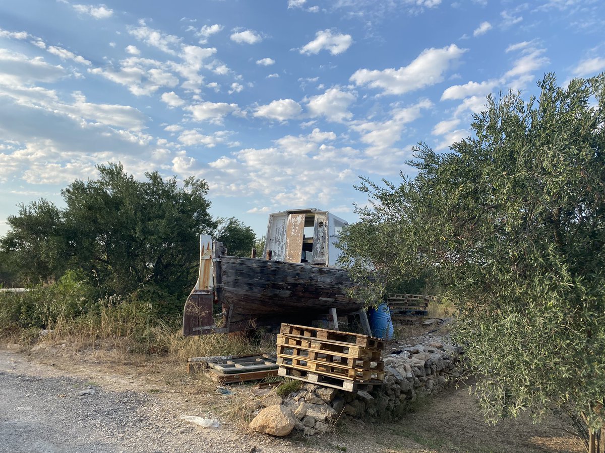 Rafael Rameša tweet media