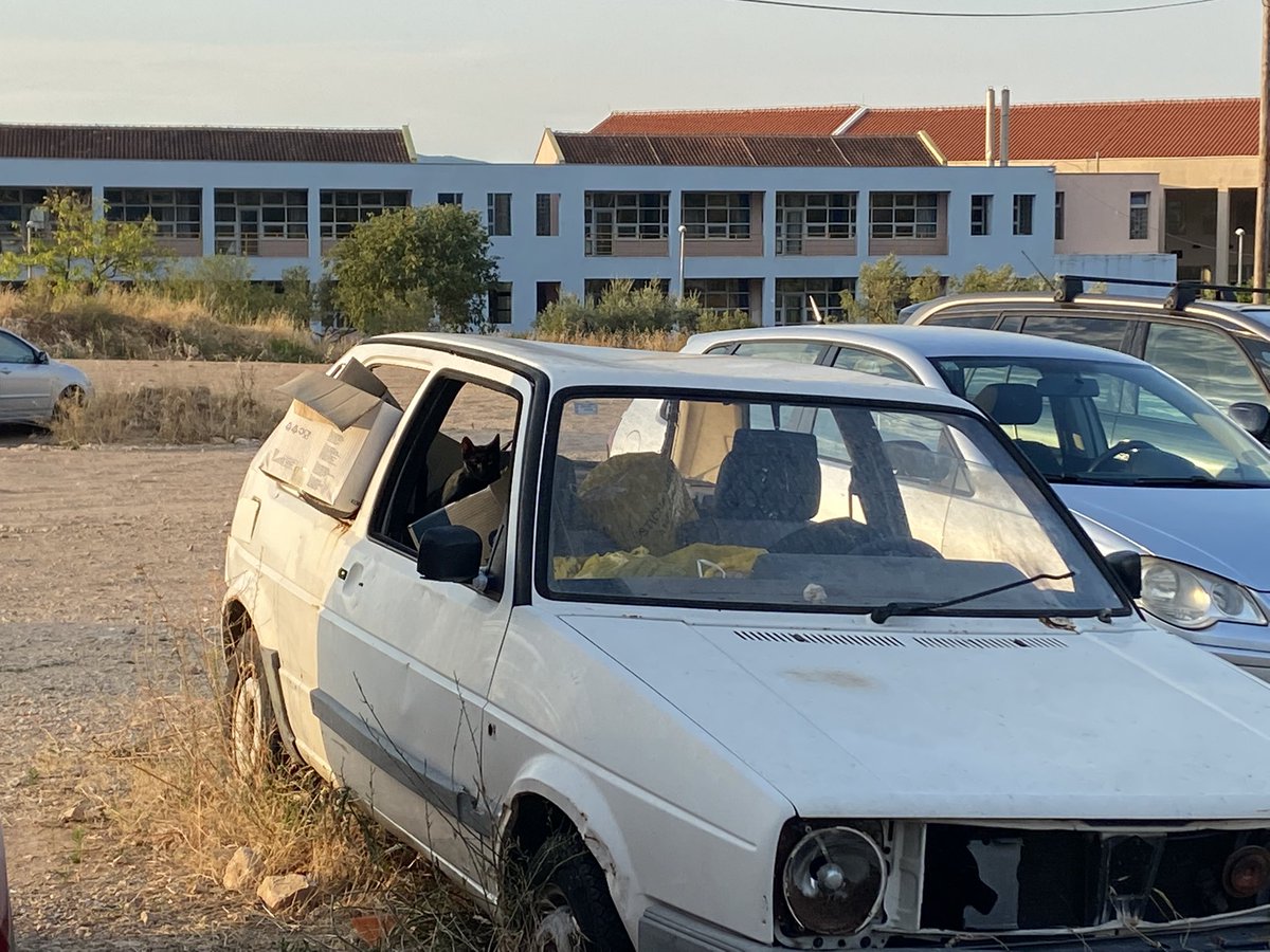 Rafael Rameša tweet media