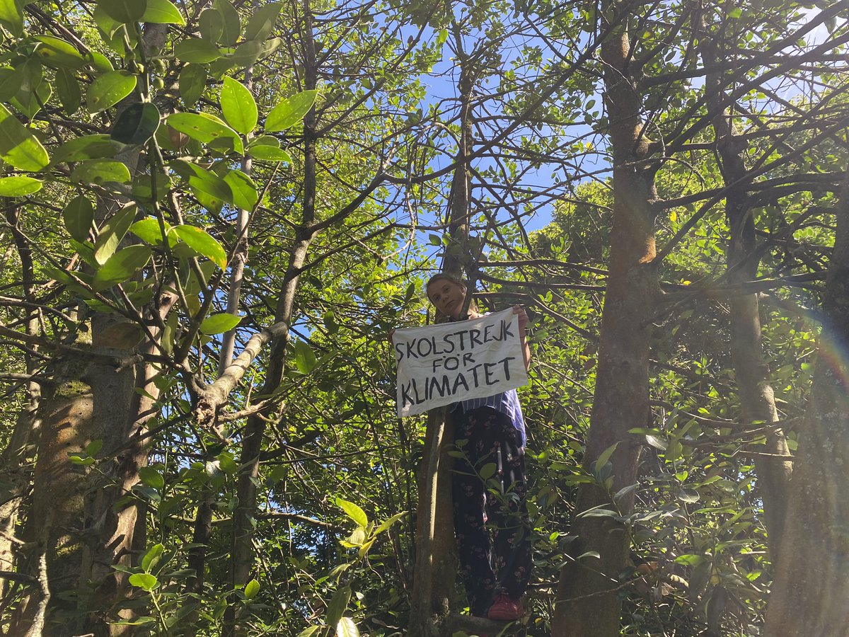 retroprogress's tweet image. #retroprogress