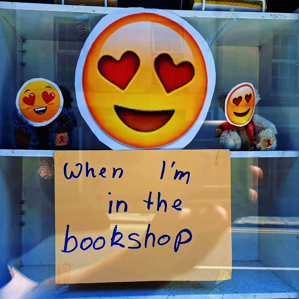 nr_book_shelter's tweet photo. The emotional journey of a bookworm #newwindowdisplay #thefeels #secondhandbooks #indiebookshop https://t.co/ymVR4nPQyU