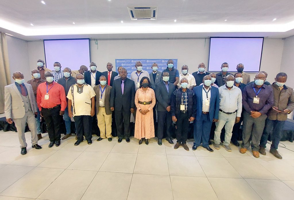FAO Zambia tweet media