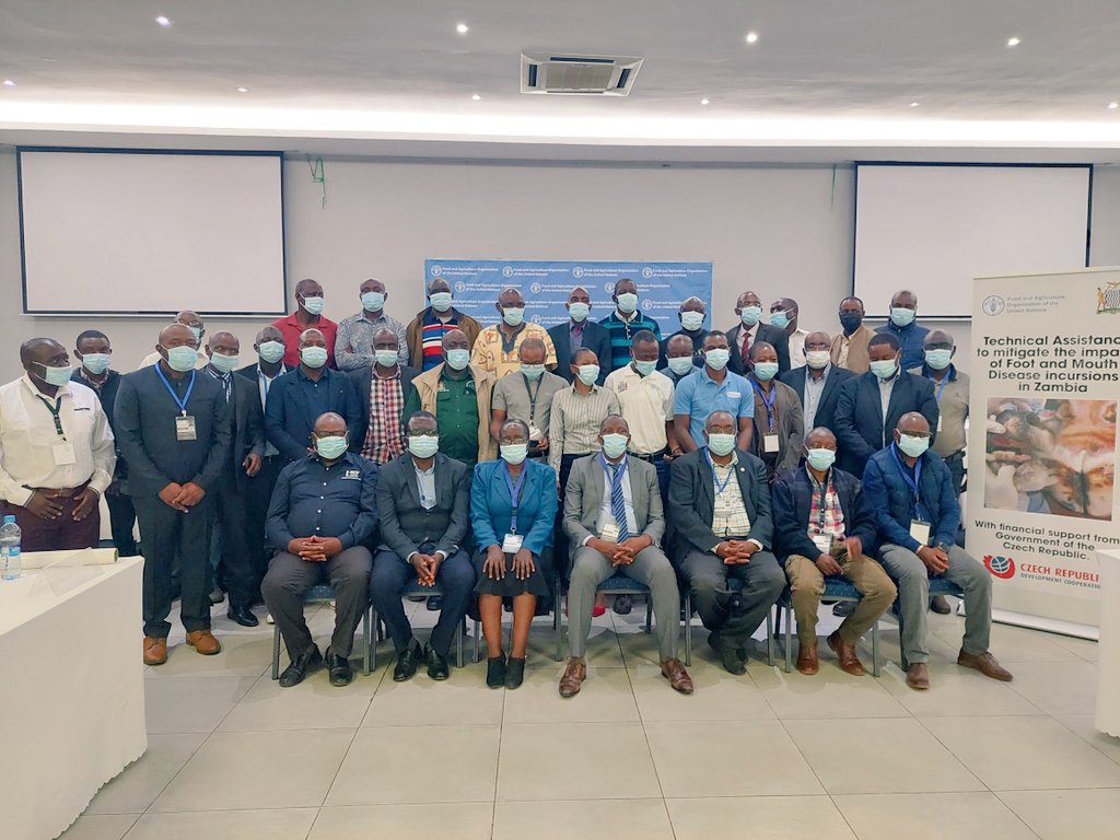 FAO Zambia tweet media
