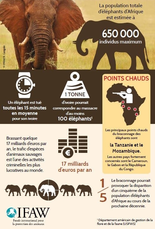 IPBES en français tweet media