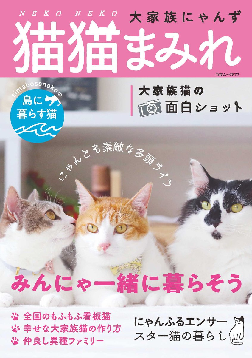 猫猫まみれ 大家族にゃんず』 8月22日（月）発売です。 大家族なスター