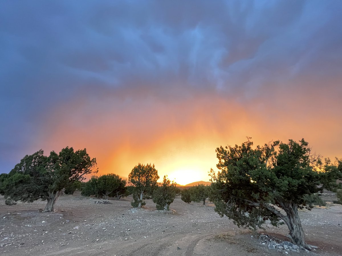 SceneSprout's tweet image. Raines all evening, then the last 3 mons of sunlight, this happened! #sunset #stormlight #photo #photography