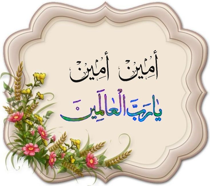 اللهم إنا نسألك جميع الرحمة والمغفرة، أصلح ذرياتنا ونياتنا، وألف بين قلوبنا، واستر عوراتنا، وفرج همومنا، واشف مرضانا، وارحم موتانا، وأعز ديننا، ووسّع في أرزاقنا، ومُدّ في آجالنا على صحة وعافية، وطاعة وعمل صالح، واجعل قبور أمواتنا روضة من رياض الجنة
#ساعة_استجابة