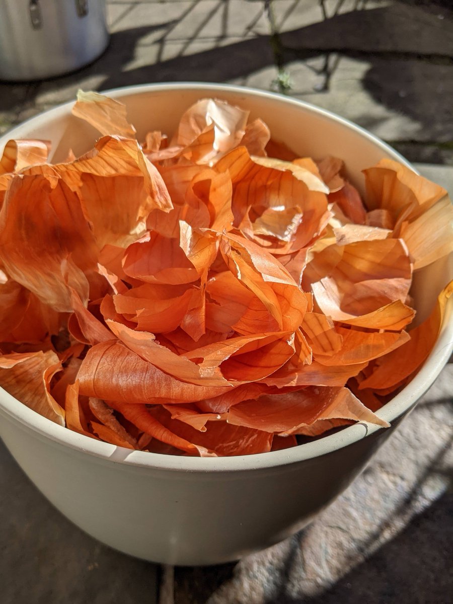 laurajpottinger's tweet photo. Early experiments with onion skin dye on cotton and linen. Beautiful range of colours from one dye pot (+ iron + soda ash modifiers) #MakingSlowColour #naturaldye #plantdyes #naturaldyeing https://t.co/9tngP6ksQa