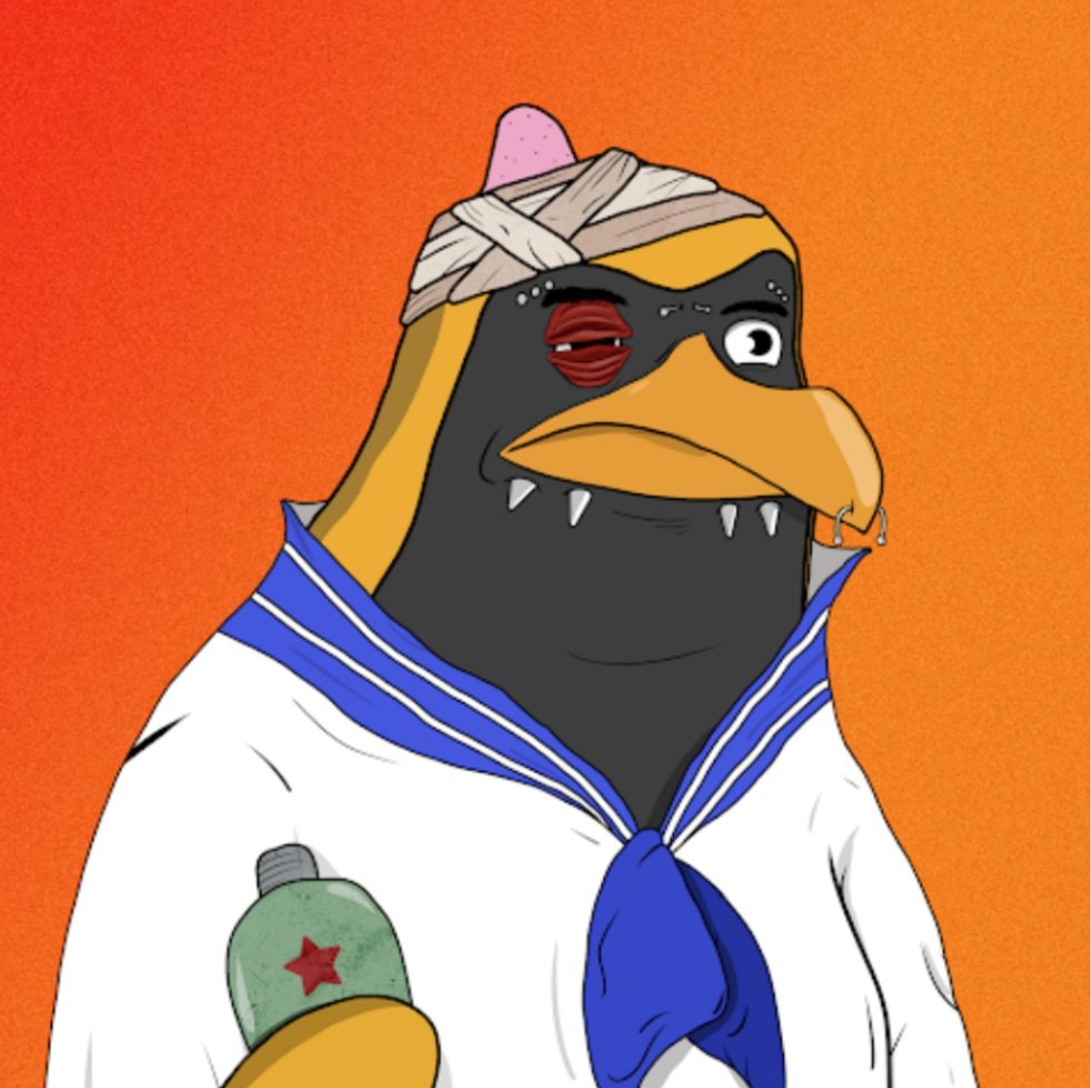 KryptoBarry's tweet photo. @Geminhighi @PenguinFightNFT #pengfollowpeng I already follow most of you degens lol. GM! https://t.co/zicXb9adZM