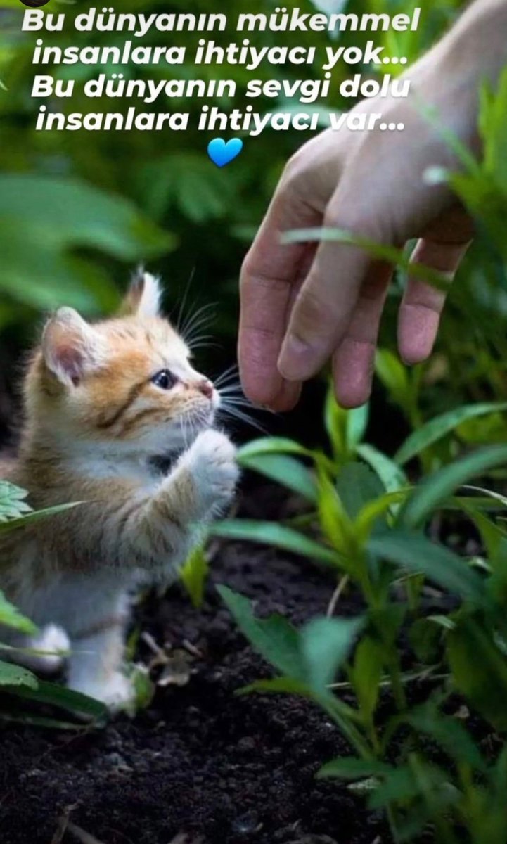 özgür (@13579omur) on Twitter photo 