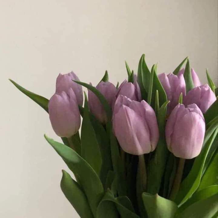 Fatma81_6's tweet photo. @raqy_alasdy https://t.co/vIdsK2ODUJ