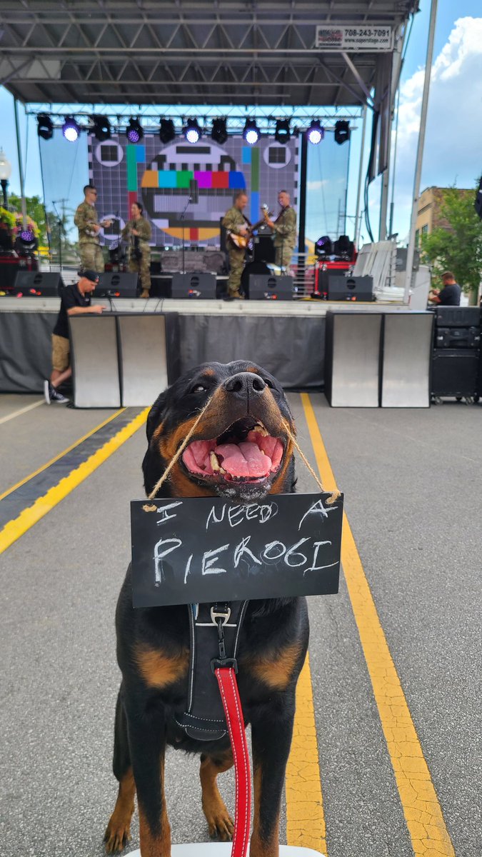 RctSki3's tweet photo. A military band playing polkas.   A rottie working the crowd for Pierogi.   Gotta be Pierogifest! 
.
#siri #siriski #pierogi #pierogifest2022 #pierogidog #willworkforfood #cityofdumplings #whiting #ROTTWEILEROFTHEDAY #weratedogs #rottielove @MrsTsPierogies @PierogiGallery https://t.co/OxtTAmYPeo