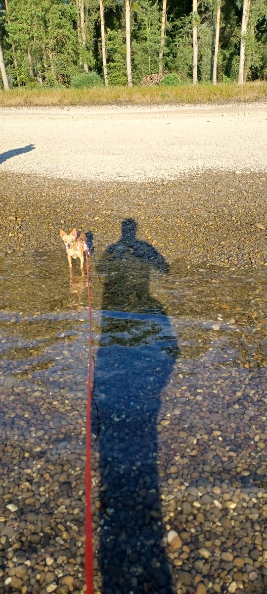 Jana (@kleine31) on Twitter photo 