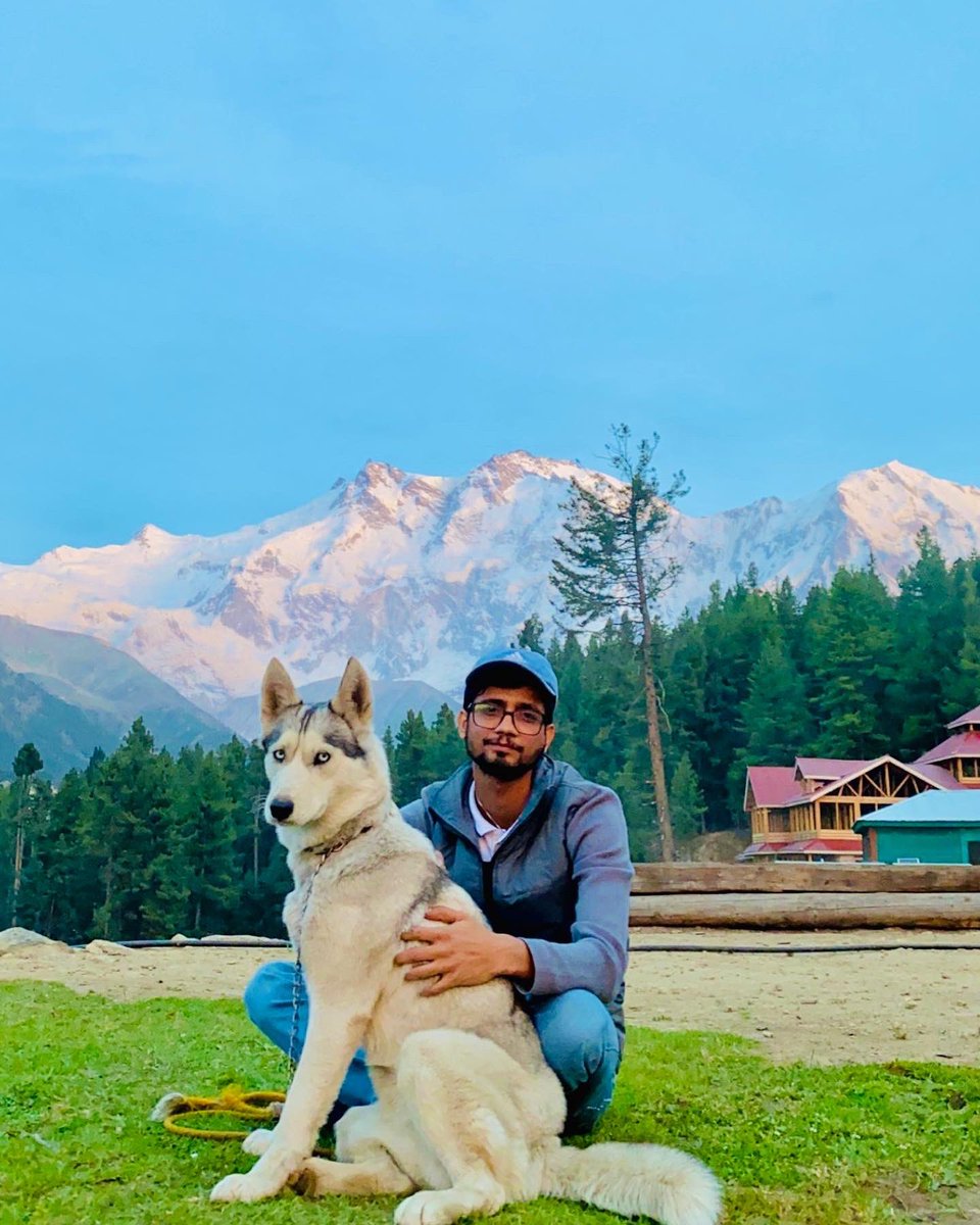 This Doggu got my Heart ❤️
Place : Fairy Meadows

#BeautifulPakistan #nangaparbat #NaturePhotography #northpakistan
#serbianhusky #husky #tourism