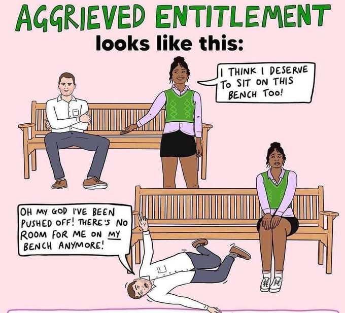 Title: Aggrieved Entitlement looks like this:   There are 2 scenes. One has a white man in a white shirt, grey pants and brown shoes with his arms folded and he's sitting on a bench. There is room beside him. A Black woman in a black skirt white shoes a pink long-sleeve shirt with a green vest over it says as she points to the bench "I think I deserve to sit on this bench too!"   The second scene has the woman sitting on the empty side of the bench looking nervously as the man is now on the ground flailing. He says "oh my god I've been pushed off! There's no room for me on MY bench anymore!"  The word "my" is underlined.
