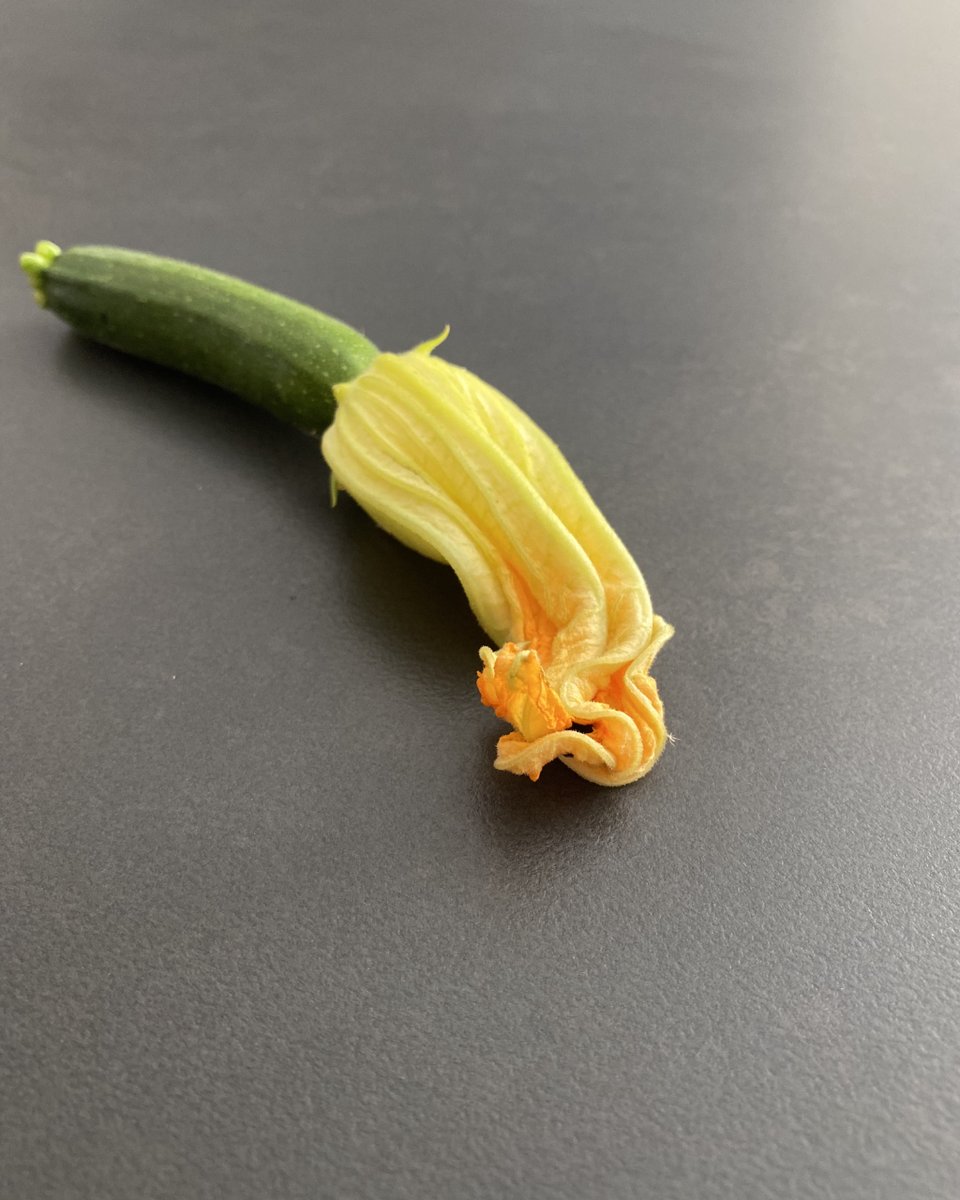 Conoces este producto de proximidad? 💚 A nosotros nos encanta utilizar este y otros productos de Km0 para elaborar el menú degustación de La cena clandestina #gastroshows #regalaexperiencias #gastronomia #chef