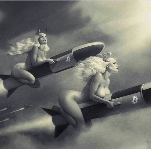 #Bitcoin toxic maximalists on their way to the moon: