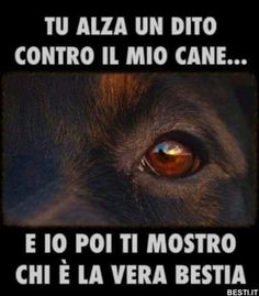 anna maria moscarell tweet media