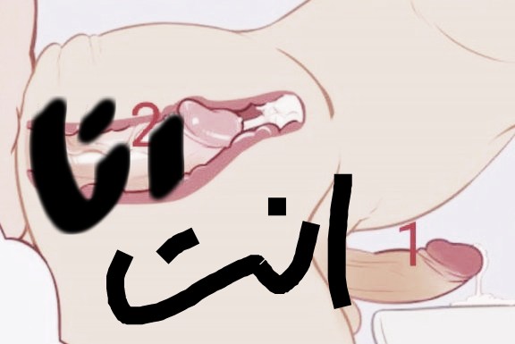 afghay_a's tweet photo. هذه رقم مال انا واتساب مال انا اتصال 0507621361 https://t.co/jZO67NN4ce