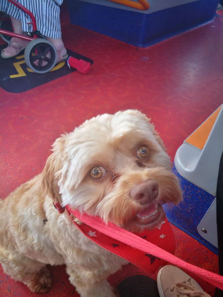 Outward bus journey and audio description is working. Return it is not. This affects my ability to travel independently and confidence in public transport #43 #inclusion <a href="/StagecoachGM/">StagecoachGM</a> <a href="/MayorofGM/">Mayor of Greater Manchester</a>