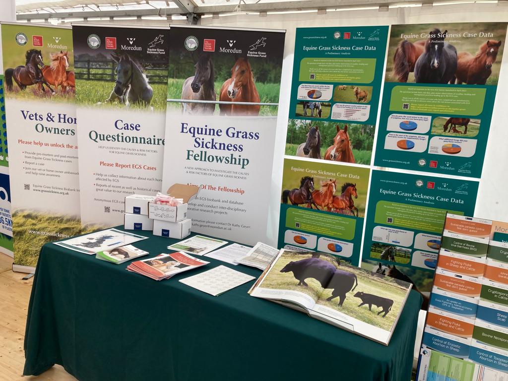 Great day at Turriff show discussing   <a href="/GrassSickness/">Grass Sickness Fund</a>  and our latest research with <a href="/bethwells173/">Beth Wells</a>
#sheep #biobank <a href="/KathyGeyer4/">Kathy Geyer</a>