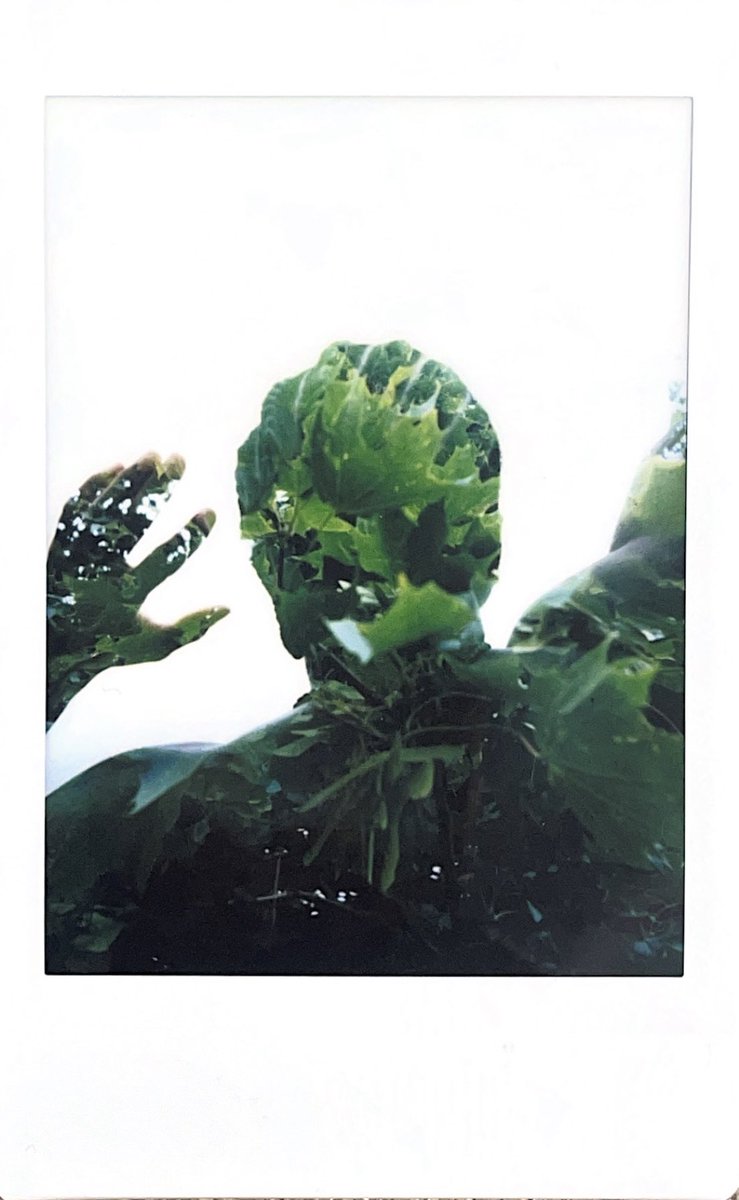obilohII's tweet photo. Deuce2: Polaroid Files by @obilohII  &amp; @whereiisjb https://t.co/kpWVm0sig1