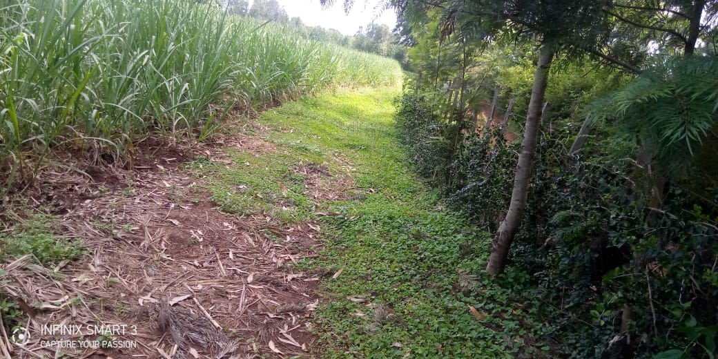 Cathy Cole Ltd tweet media