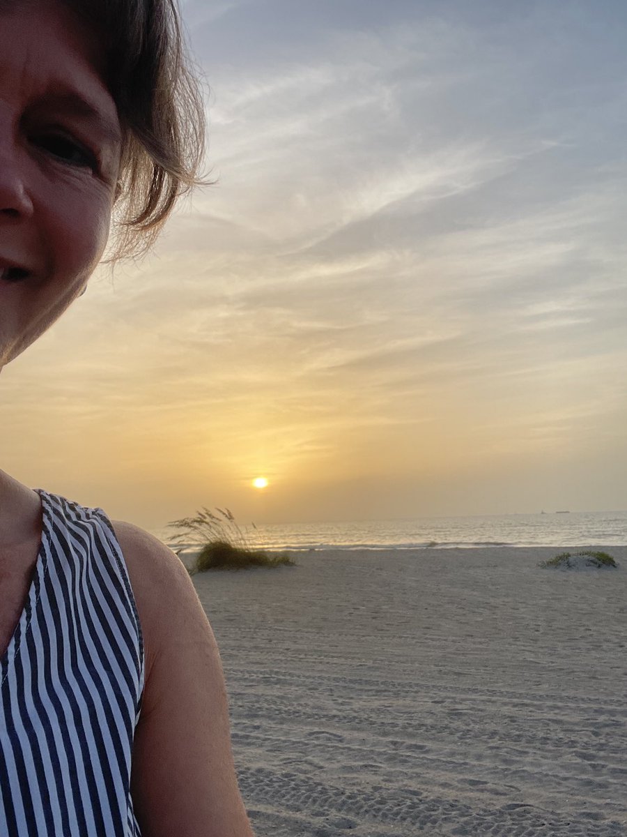 HansenRocks's tweet photo. What else says Florida more than a beautiful sunrise, waves on the beach and manatees? Ready to bring rocket science into my classroom @BSCSD this fall. #NEHsummer https://t.co/I8apcEEFTo