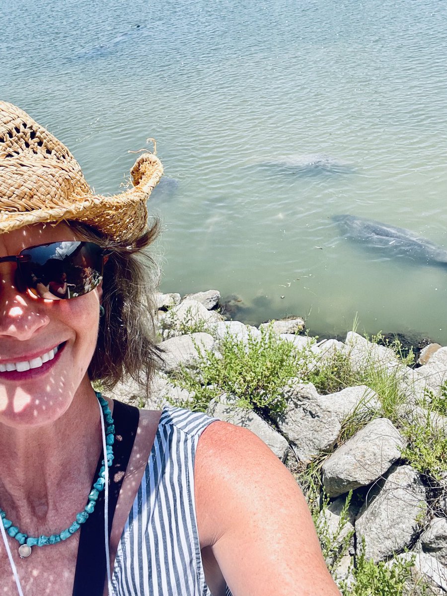 HansenRocks's tweet photo. What else says Florida more than a beautiful sunrise, waves on the beach and manatees? Ready to bring rocket science into my classroom @BSCSD this fall. #NEHsummer https://t.co/I8apcEEFTo