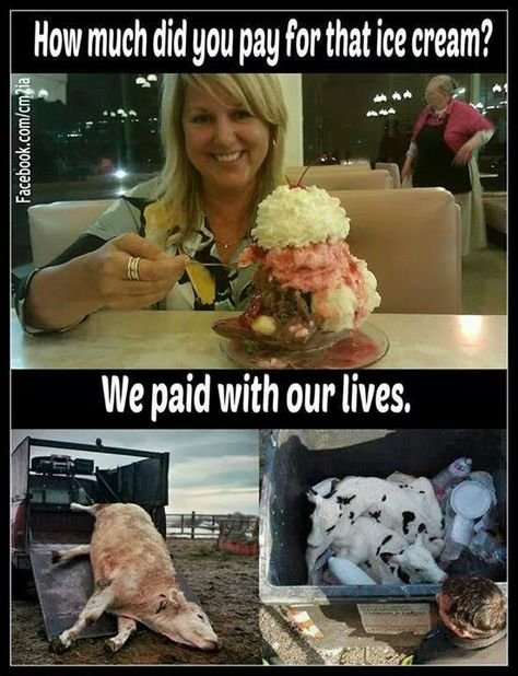 How much did you pay for that ice-cream?
Dairy cows are literally milked to death.
End the bloodshed #GoVegan
#EndSpeciesism #AnimalRights #AnimalLiberation #Veganism #Vegan