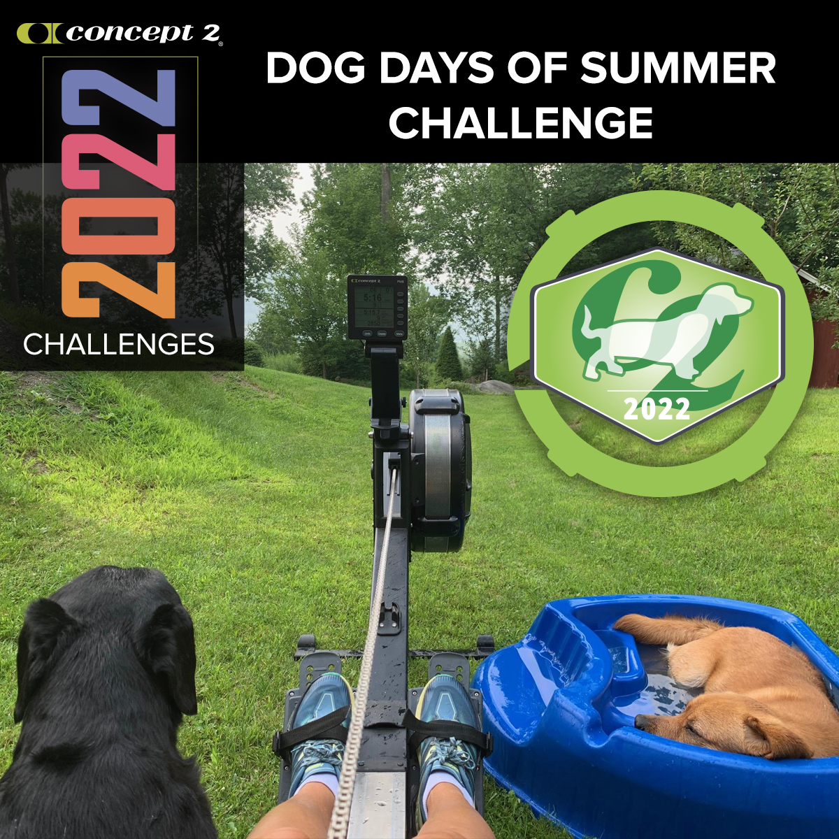 concept2's tweet image. With a new distance to accumulate each week the Dog Days of Summer Challenge has you getting a total of 100,000m in August!  

Week 1: 10,000m
Week 2: 20,000m
Week 3: 30,000m
Week 4: 40,000m

Enter your meters at log.concept2.com

#Concept2 #C2Challenge