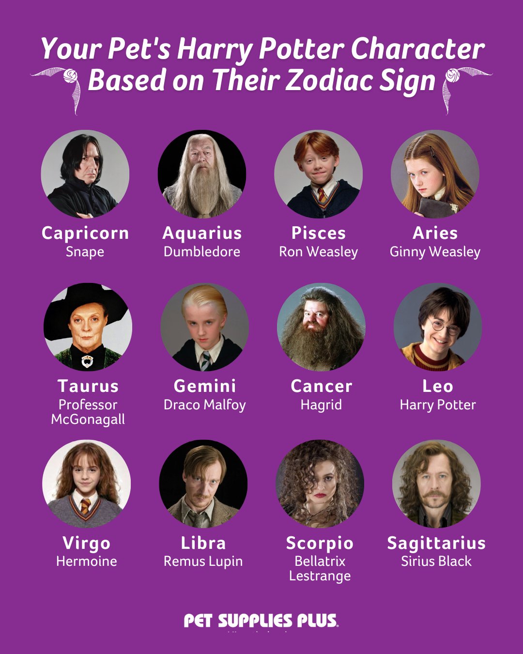 This is your 'Harry Potter' character based on your zodiac sign