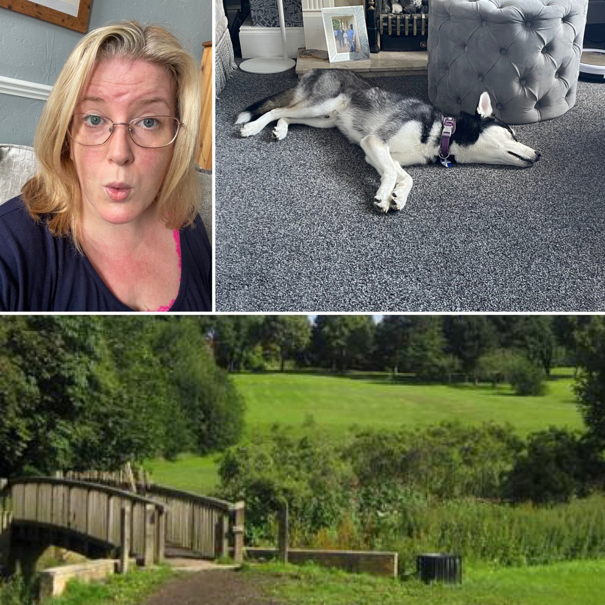 FitnessFergi's tweet photo. Oooo Sweaty Betty!! It was a warm ramble with Hamish the Husky!! We are definitely worked out!! We definitely got our mush on! 😁#sundayramble #exercise #hamish #walkies #husky #getyourmushon https://t.co/BMNig92y2X