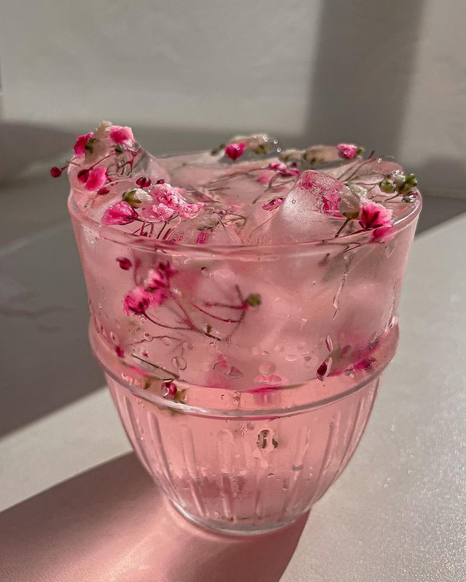 lavieestbelIe's tweet photo. Flower drinks https://t.co/D9CyC9KcMe